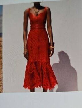 Alexander McQueen Red Lace Fit-and-Flare Midi Dress